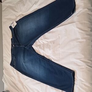 NWT Michael Kors Selma Skinny  Blue Jeans Size 18W
